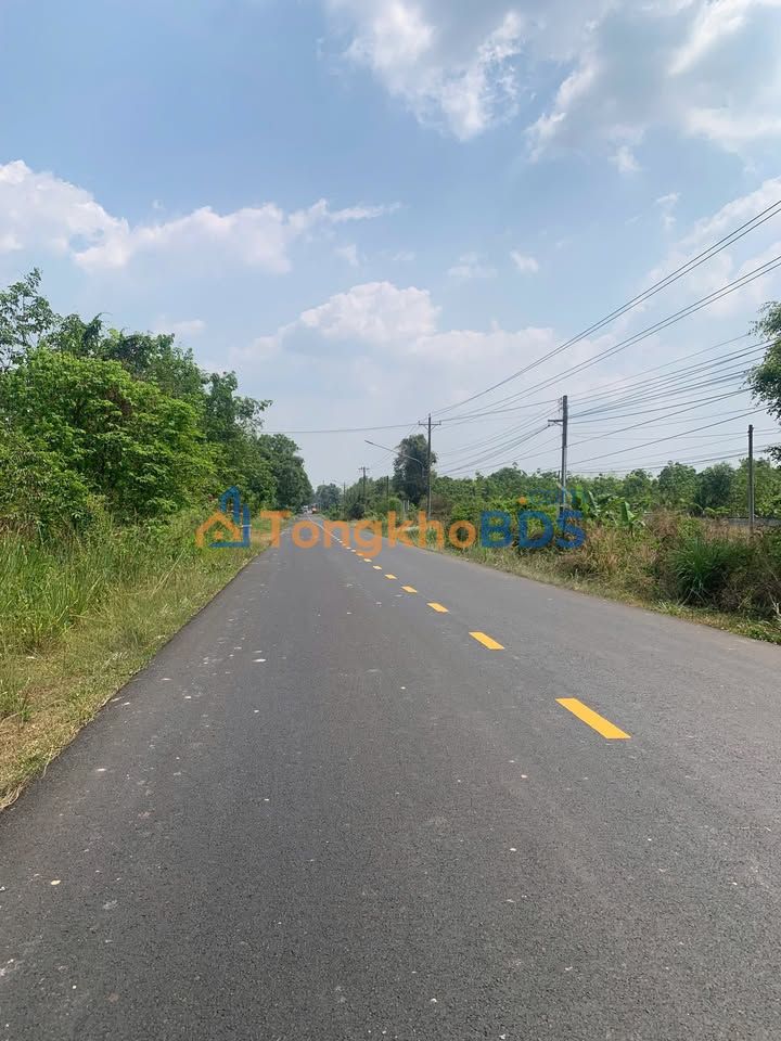 Bán Đất Nền Tân Lập Long An 312m² Hướng Nam - Giá Tốt