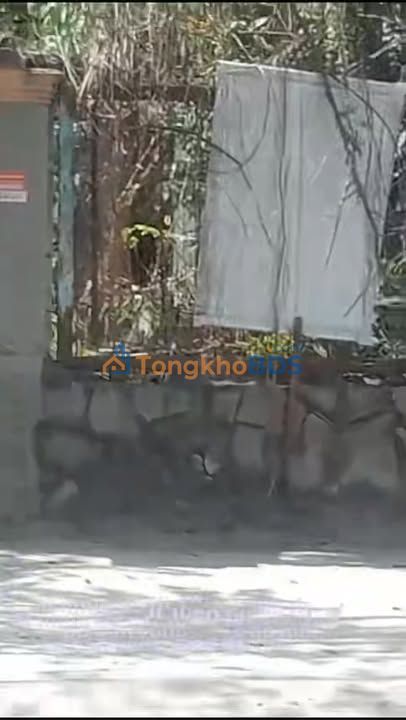 Đất Vàng Củ Chi - 600m² Mặt Tiền TL9 Giá 6.8 Tỷ