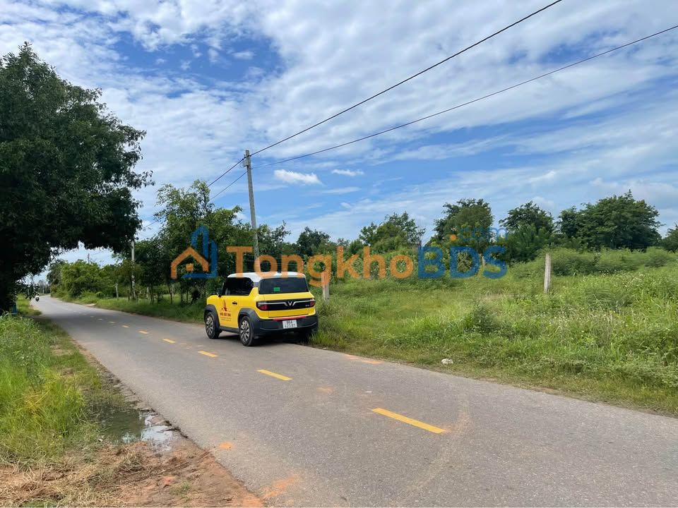 Đất CLN Hàm Liêm 1440m² giá 4.2 tỷ - Sổ đỏ chính chủ