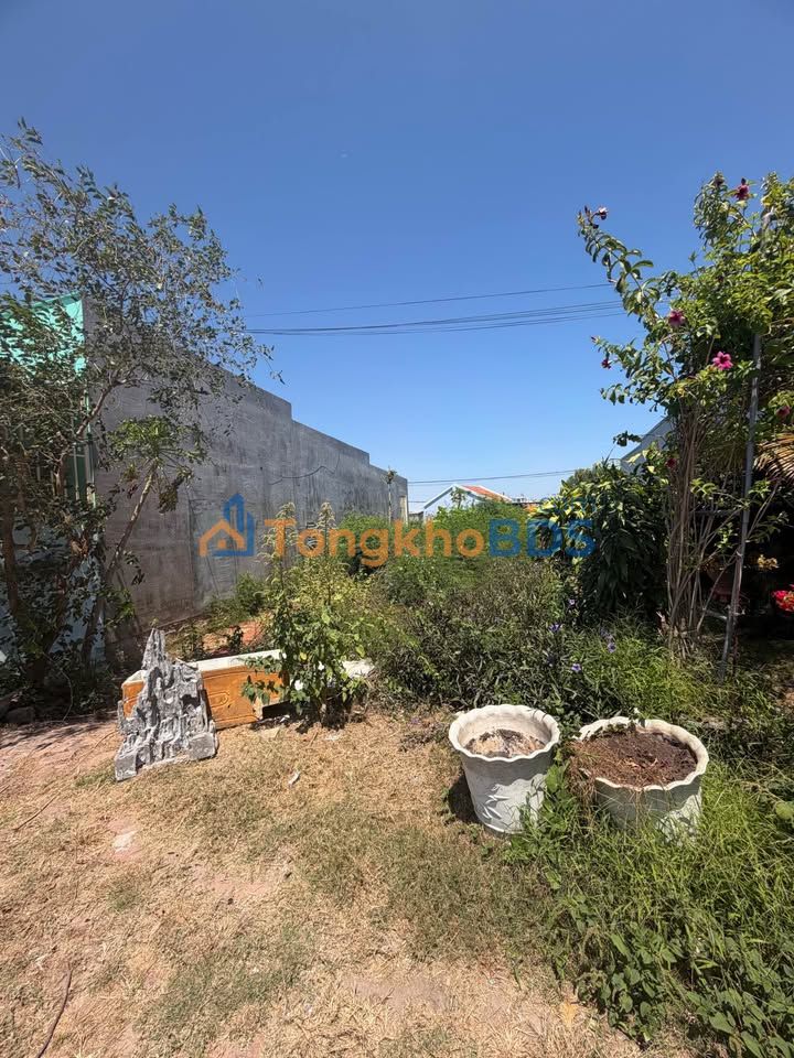 Đất nền Đặng Văn Lãnh Phan Thiết 203m² 930 triệu - Sổ đỏ chính chủ