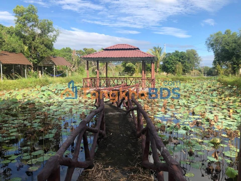 Bán Đất Vườn Hàm Chính 360m² - Sổ Hồng Vuông Vức, Giá 370 Triệu