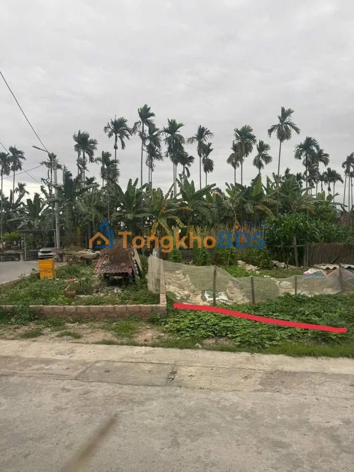 Bán Đất 88m² Thủy Nguyên Hải Phòng - Đường 5m, Gần Tiện Ích