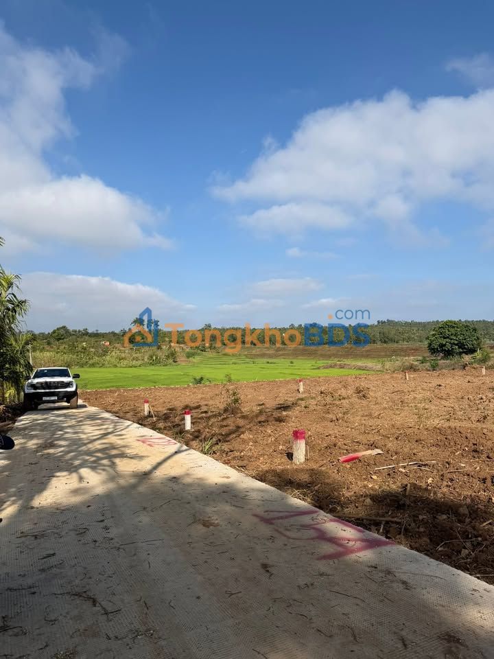 Đất nền Eadrong, Đắk Lắk - 180m² Giá 299 Triệu, Sẵn Sổ Hồng