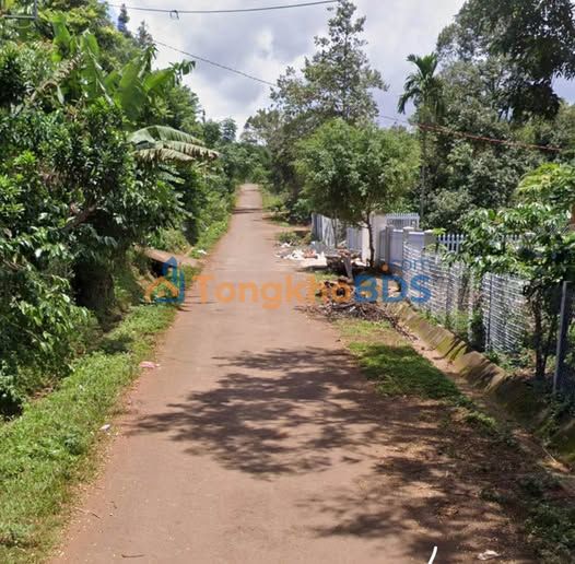 Đất Vàng Tuy Hòa 1000m² - Sổ Hồng Sẵn Sàng, Gần Tam Giác Vàng