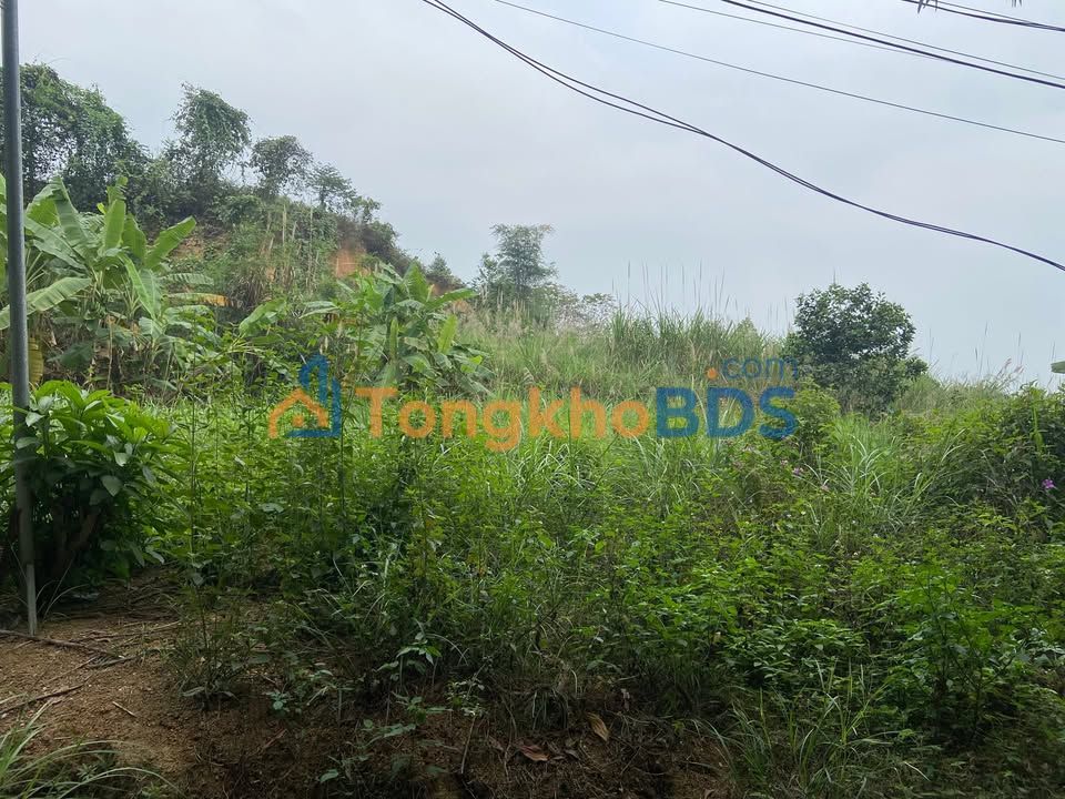 Bán Đất Nông Tiến Tuyên Quang 220m² - Sổ Đỏ Vuông Vắn, Gần Trung Tâm