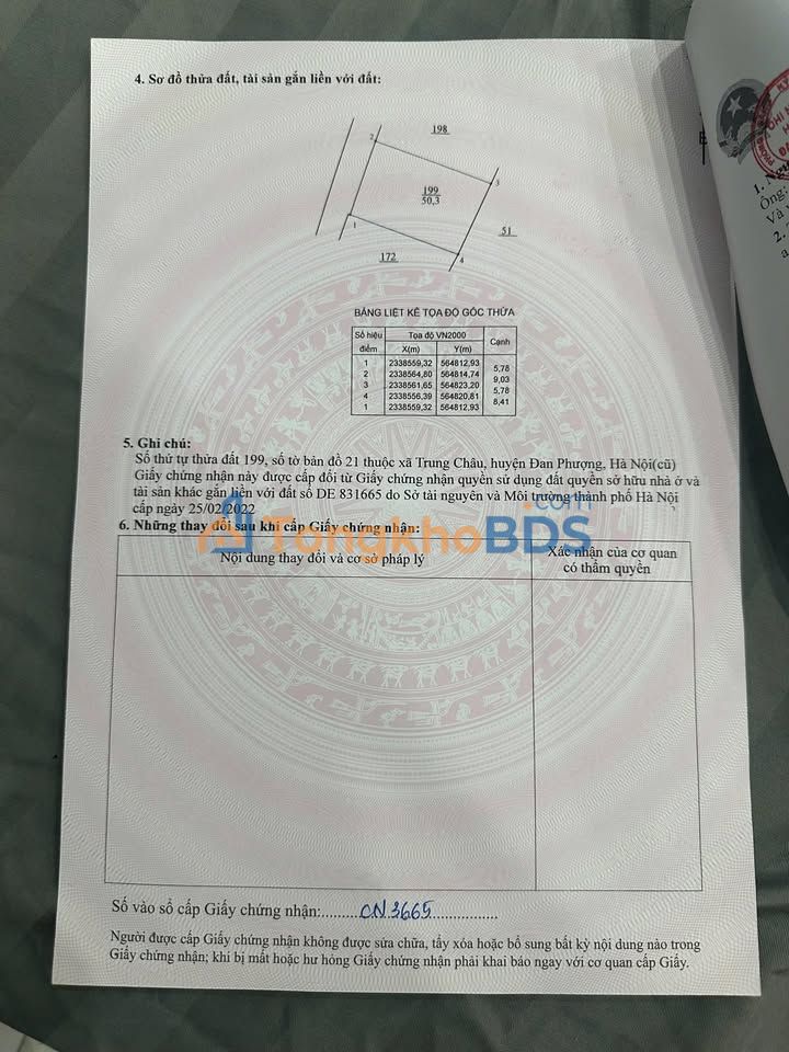 Bán Đất Trung Châu A - Đan Phượng 50m² - Sổ Đỏ Sẵn Sàng
