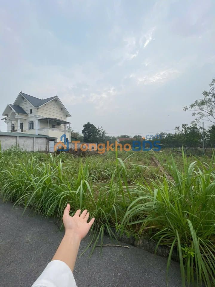 Đất nền Thổ cư 61.1m² Tân Xã, Hà Nội – Cơ hội đầu tư vàng