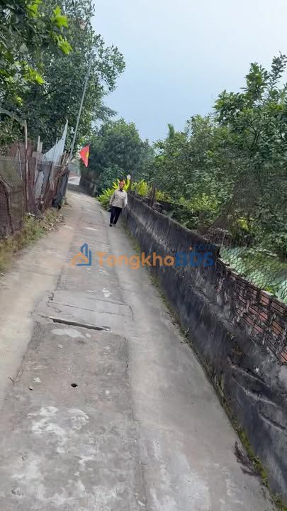 Đất thổ cư Thọ Xuân Đan Phượng 64m² giá mềm - Sổ đỏ chính chủ