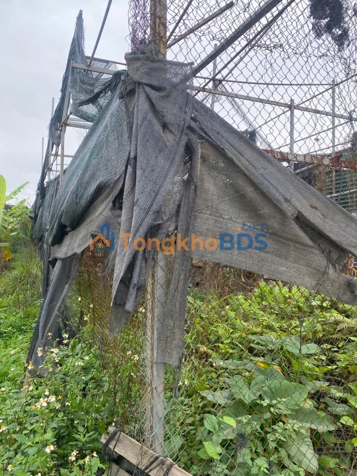 Đất xưởng Đông La 140m² 1.45 tỷ - Sổ đỏ chính chủ