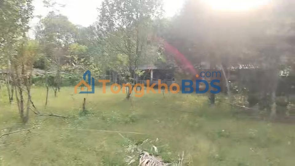 Bán Gấp Nhà Vườn 3000m² Hướng Đông - Khu Trường Sơn, Hà Trung