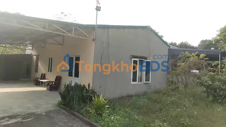 Bán Nhà 1800m² Hướng Đông, Đông Sơn, Thanh Hóa - Sẵn Sàng Đầu Tư