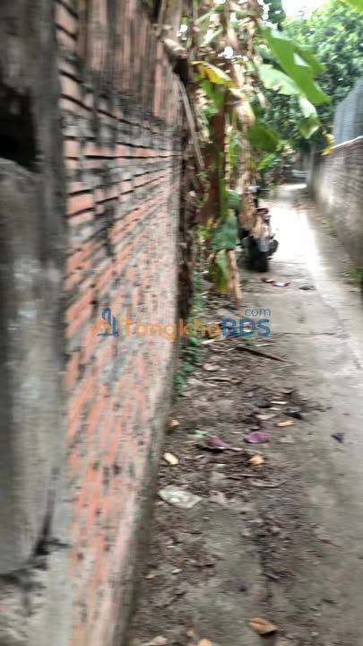 Bán đất 130m² Xã Thọ Xuân, Đan Phượng - Sổ đỏ sẵn sàng, giá tốt