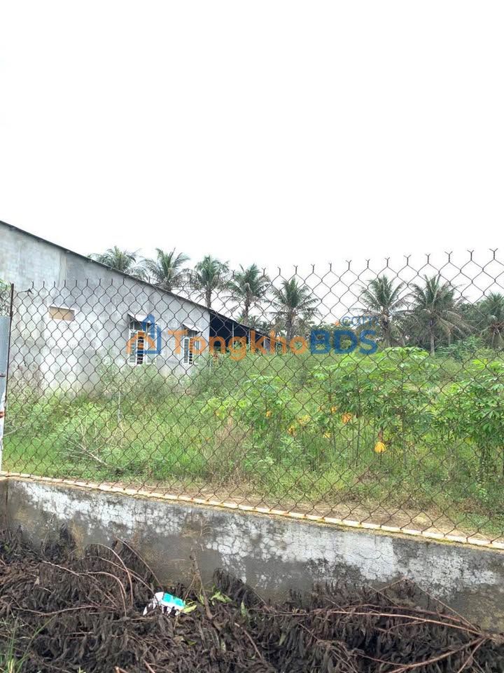 Bán Gấp Đất Lúa 310m² Phường Bảo An, Phan Rang - Sổ Đỏ, Đường Ô Tô