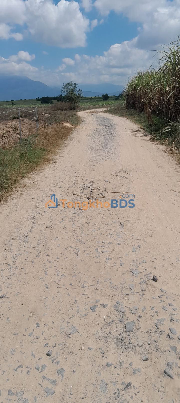 Bán Đất 15.000m² Mặt Tiền Đường Đống Đa, Ninh Hòa - Giá Tốt