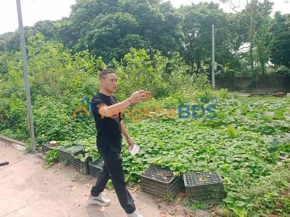 Đất Vàng Quốc Oai - Sổ Đỏ Chính Chủ 68.1m² - Giá 3.69 Tỷ