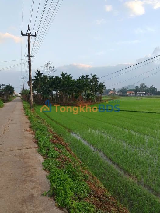 Đất Nền Đức Phổ 132m² Hướng Nam - Giá Tốt Chỉ 4xx Triệu