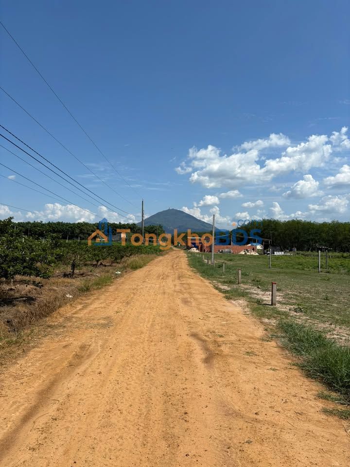 Đất nền thổ cư 115m² mặt tiền đường Trà Vong, Gò Dầu - Giá tốt đầu tư