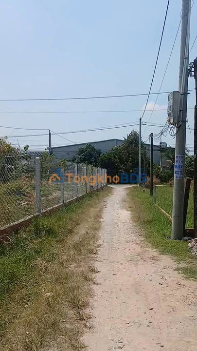 Đất Lúa Gò Dầu 300m² - 750 Triệu, Sổ Đỏ Sẵn Sàng