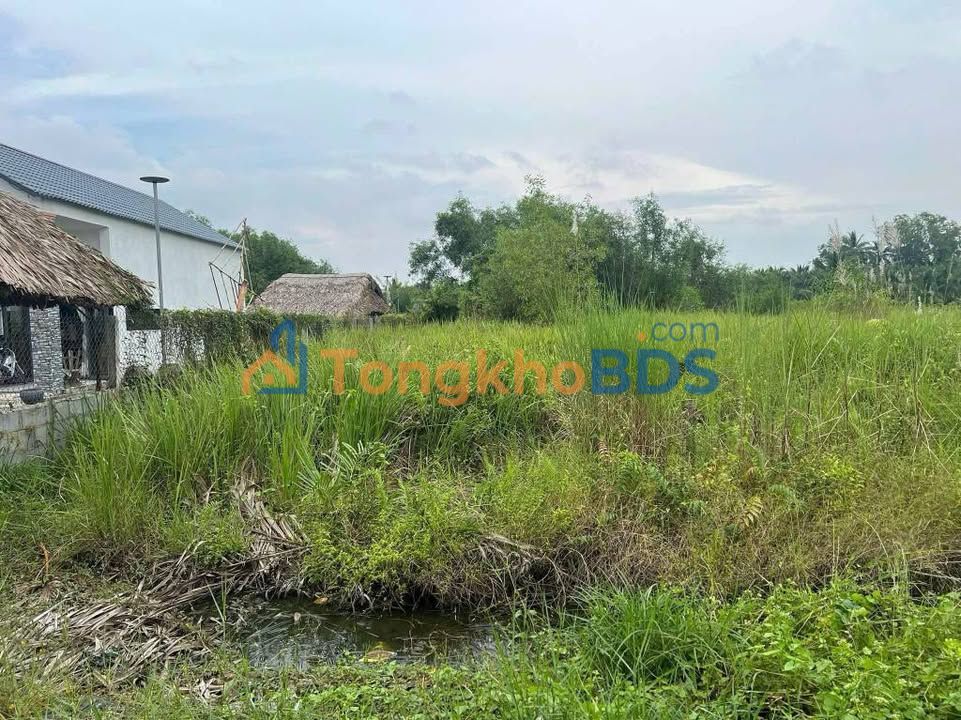 Đất Vườn 1000m² Bến Lức - Sổ Hồng Sẵn Sàng Chốt Nhanh 1 Tỷ