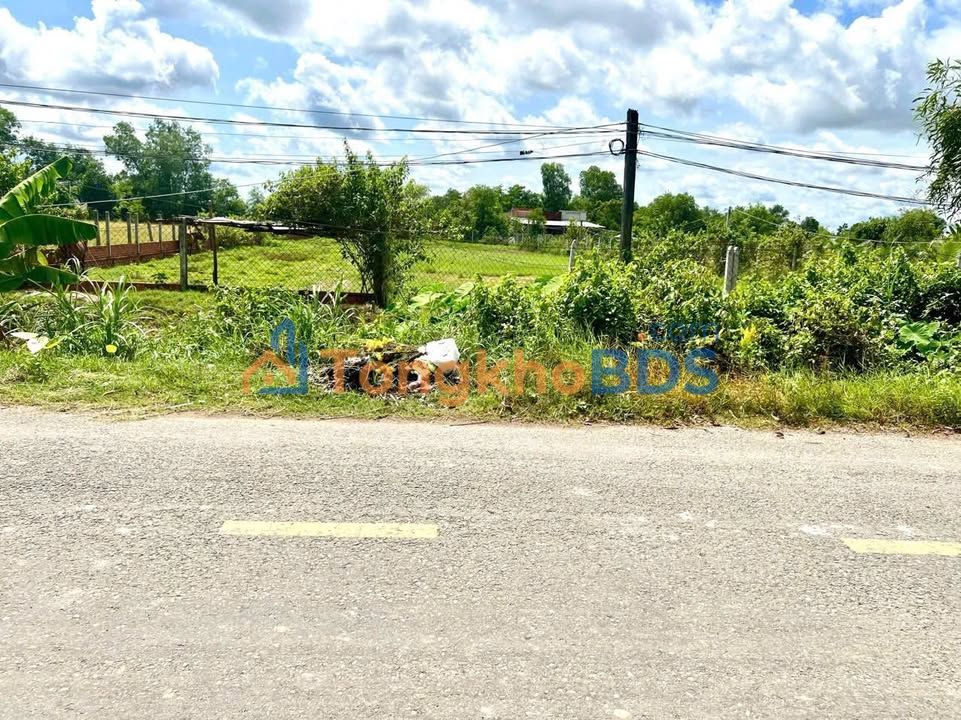 Đất Vườn 1862m² Mặt Tiền Đường Nhựa An Thuận, Đức Hòa - 3 Tỷ