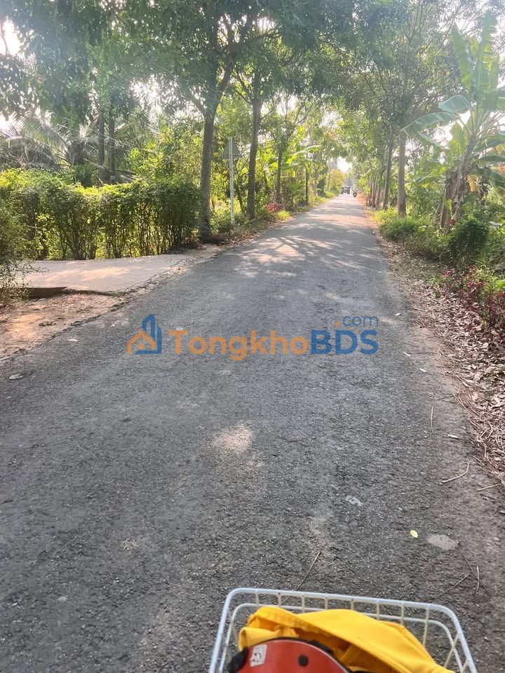 Đất thổ cư 210m² Xã Châu Hưng, Bình Đại, Bến Tre - Giá 2.1 tỷ