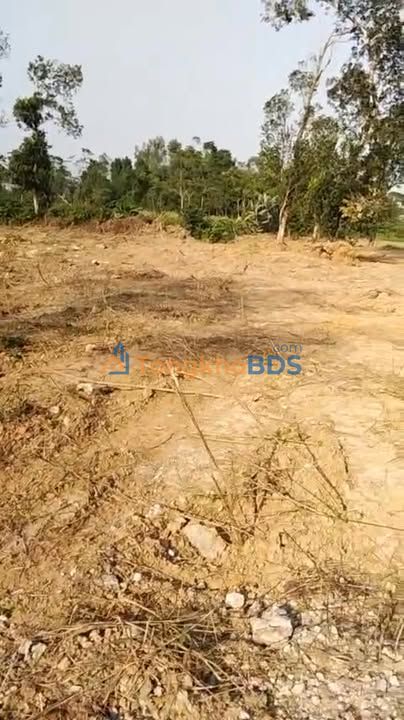 Đất thổ cư 260m² nở hậu tại Quỳnh Lưu - Sổ đỏ sẵn sàng