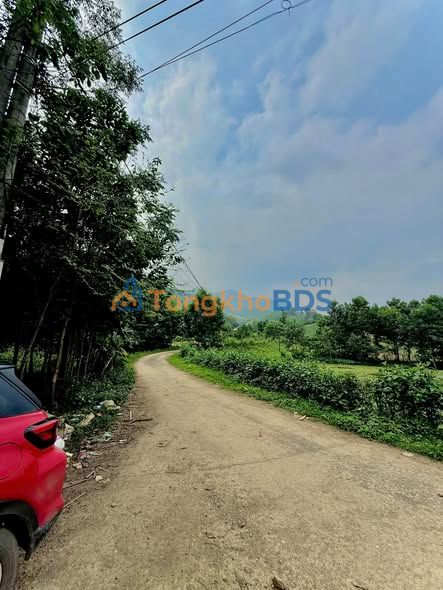 Đất nền Phú Thọ 2000m² - Sổ đỏ sẵn sàng, giá chỉ 1 tỷ