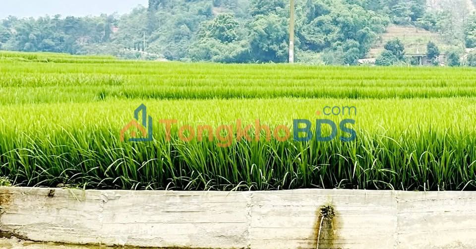 Đất Nền Long Vân Quy Nhơn 500m² - Giá Tốt Đầu Tư F0