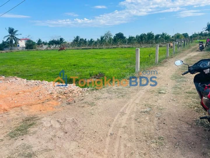 Bán Gấp Đất Vườn 970m² Mặt Tiền Bình An - La Gi Giá Đầu Tư 550 Triệu