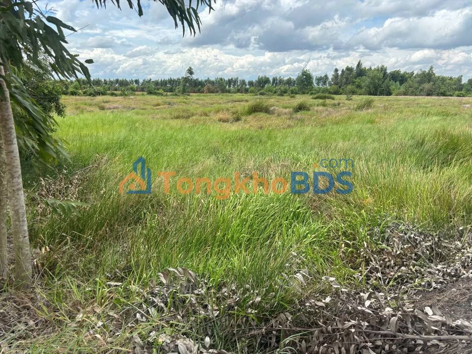 Đất vườn Bình Hòa Bắc 6502m² 2.5 tỷ - Sổ đỏ chính chủ