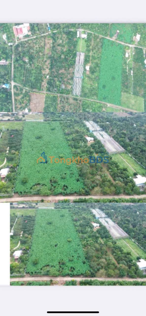 Bán Đất Vườn Cần Giờ 17.000m² - Sổ Hồng Riêng, Tiềm Năng Nghỉ Dưỡng & Kho Xưởng