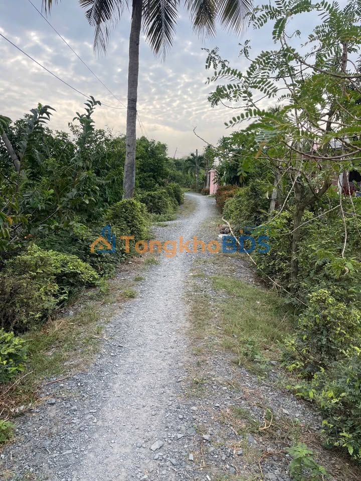 Đất Vườn Đa Phước Bình Chánh 2200m² - Giá Đầu Tư 3.95 Tỷ