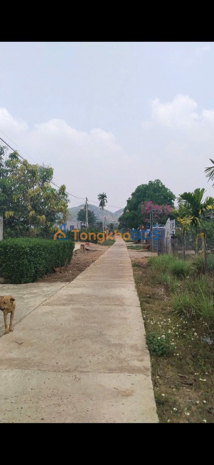 Đất Thổ Cư Nam Đà, Lâm Đồng 330m² - Sổ Đỏ Sẵn Sàng, Giá 480 Triệu