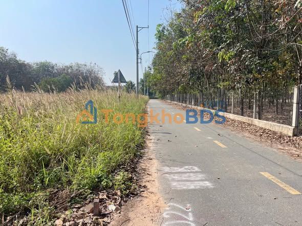 Đất Nền Hòa Lợi, Thủ Dầu Một 170m² - Sổ Riêng, Đường 7m Thông, Giá 1.17 Tỷ