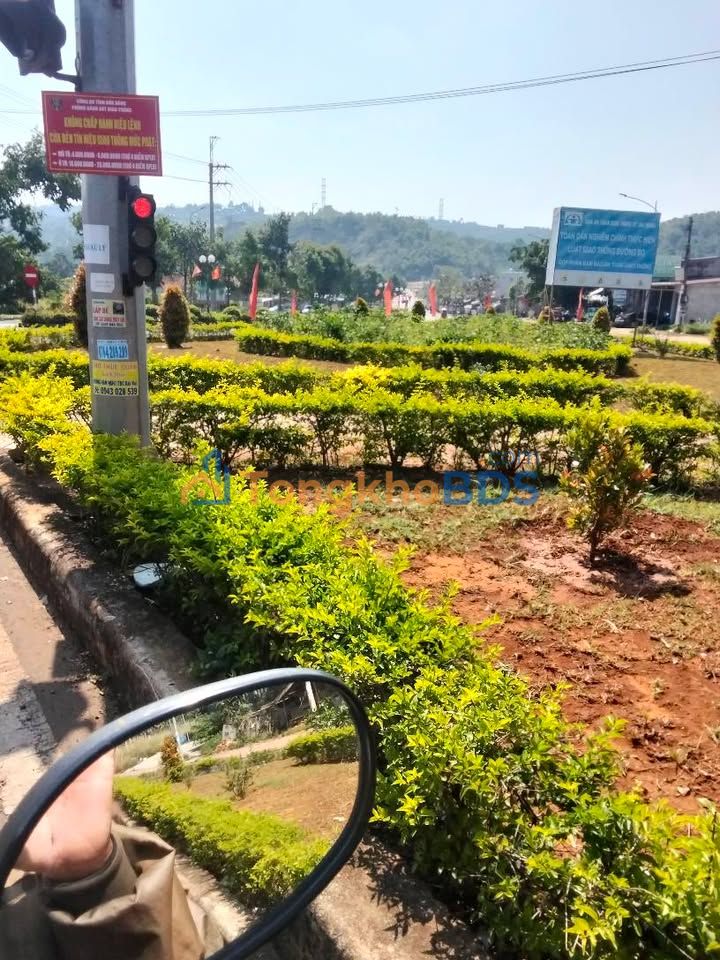 Đất nền Đường đôi Hùng Vương Đơn Dương 1.320m² - Đường ô tô