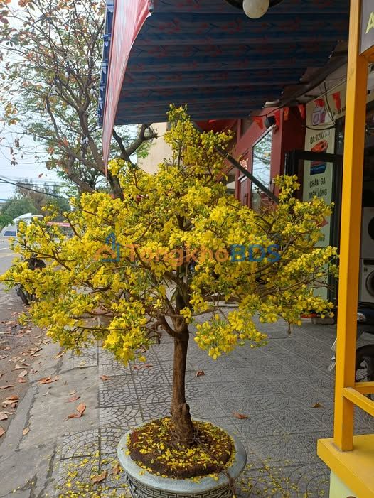 Nhà Hẻm Lữ Gia, 30m², Chính Chủ Bán Gấp 2.4 Tỷ