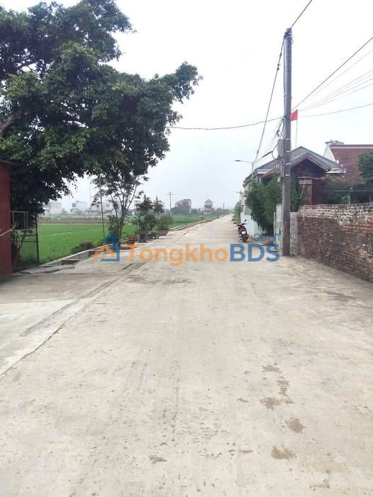 Đất nền Thái Thụy 65m² Hướng Tây - Sổ đỏ sẵn sàng, gần TT Diêm Điền