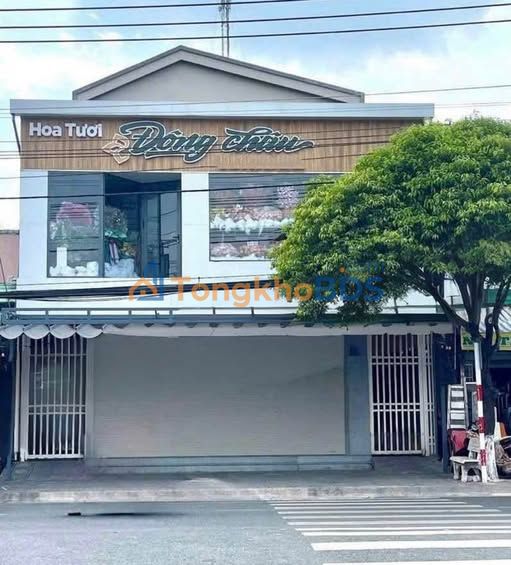 Nhà Mặt Tiền Trần Đại Nghĩa, Bình Chánh - 131m², 1.08 Tỷ, Sẵn Sàng Kinh Doanh