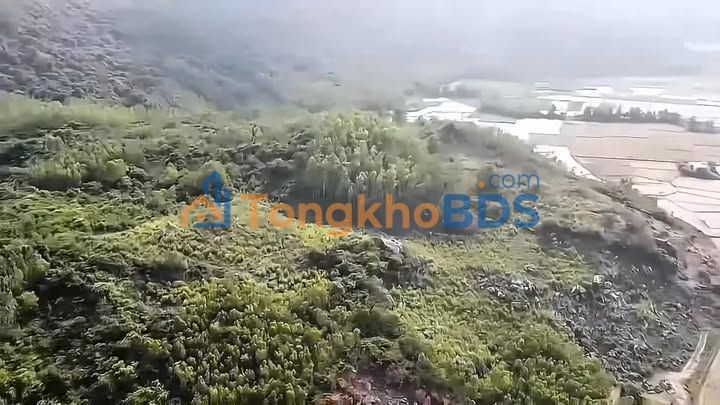 Đất nền 639 Tân Thắng 320m² 3.2 tỷ - Sổ đỏ chính chủ