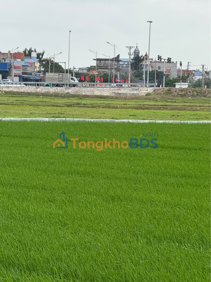 Bán đất Lô Góc Nam Trực, Nam Định - 330m² Sổ Đỏ, Cạnh Chợ Quỳ