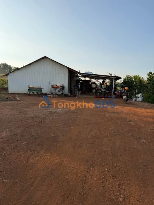 Đất rẫy Gia Nghĩa 2.7ha 1.85 tỷ - Đầu tư dài hạn