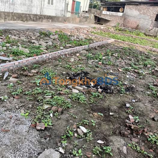 Bán đất Hoàng Mai 40m² hướng Đông - Sổ hồng, ô tô đỗ tận đất