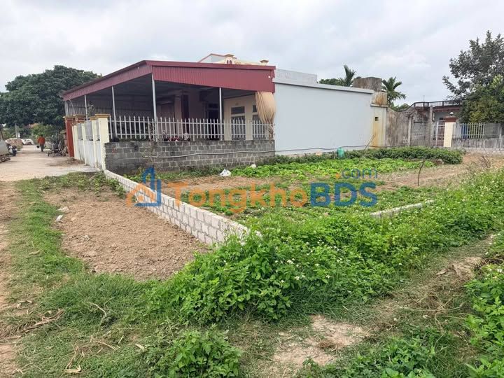 Đất nền Hòa Bình Hưng Hà 252m² 1.2 tỷ - Sổ đỏ chính chủ