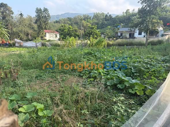 Đất Lô Góc 311m² Cự Yên, Lương Sơn - Đầu tư sinh lời, An dưỡng lý tưởng