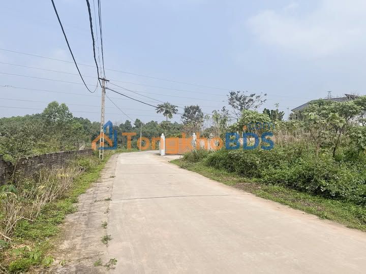 Đất Tiên Kiên, Lâm Thao 127m² - Giá 688 Triệu, Ngõ 2 Ô Tô