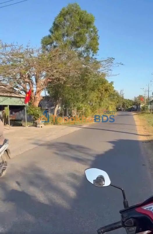 Đất Vàng Bình Thuận - 1300m² Mặt Tiền Nhựa, Sổ Riêng, Giá Chỉ 1 Tỷ