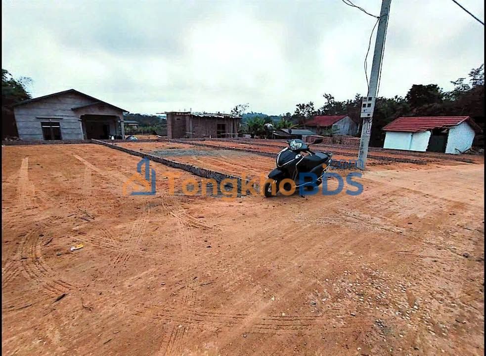 Đất Nền Tam Dương, Vĩnh Phúc 100m² - Sổ Đỏ Sẵn Sàng, Giá Đầu Tư Tốt