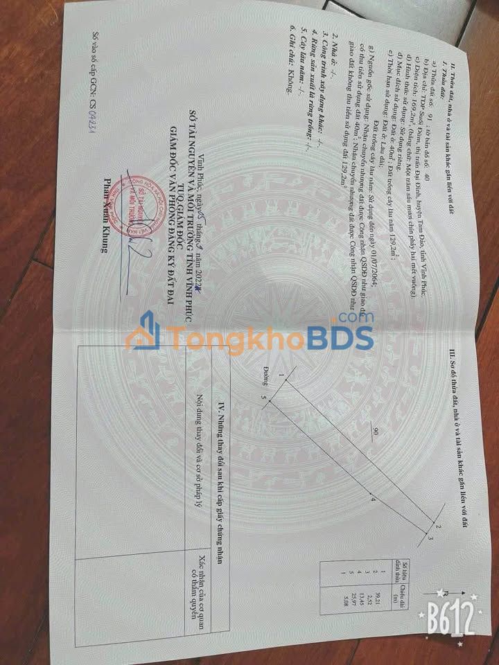 Đất nền Đại Đình Tam Đảo 169m² - Dân cư đông đúc, giá chỉ 360 triệu