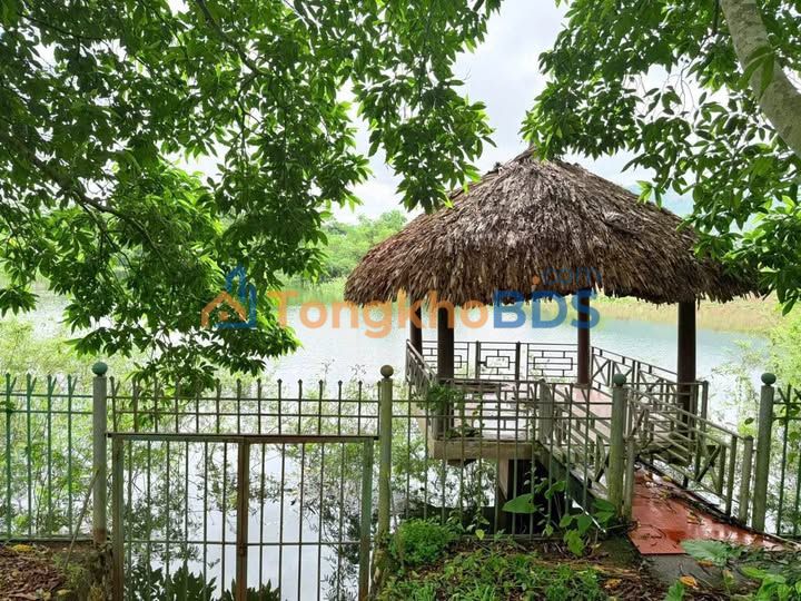 Đất Vườn 4000m² Bám Hồ Cư Yên, Lương Sơn - Sổ Hồng Sẵn Sàng