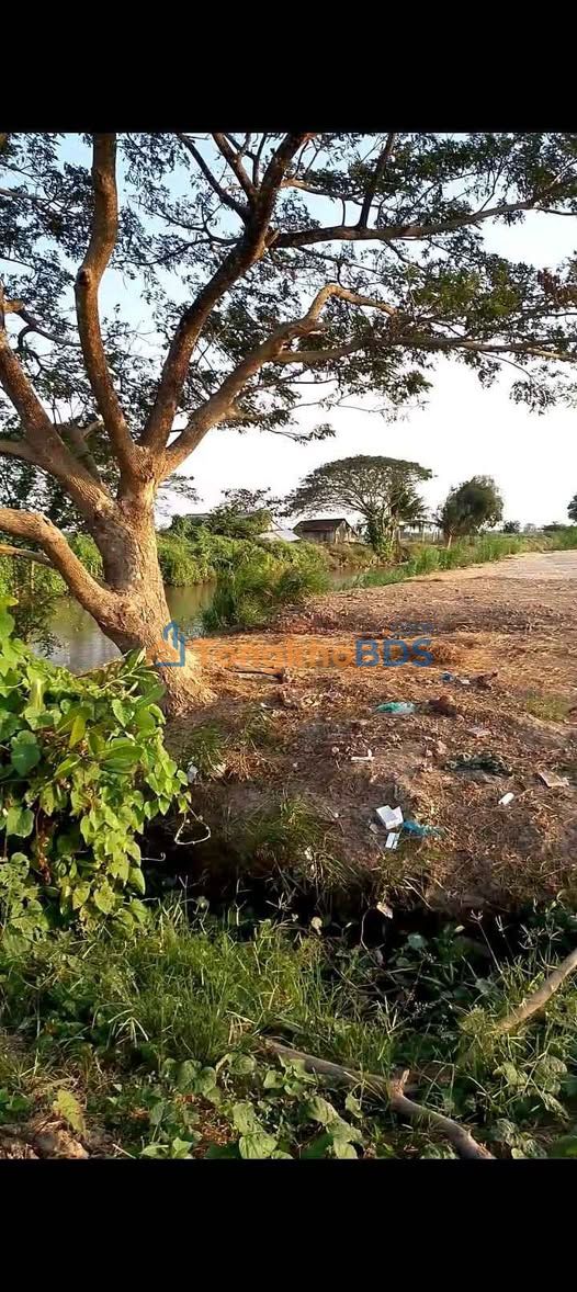 Bán Gấp 8000m² Đất Ruộng Mặt Tiền Kênh Lớn, Sóc Trăng - Giá Tốt